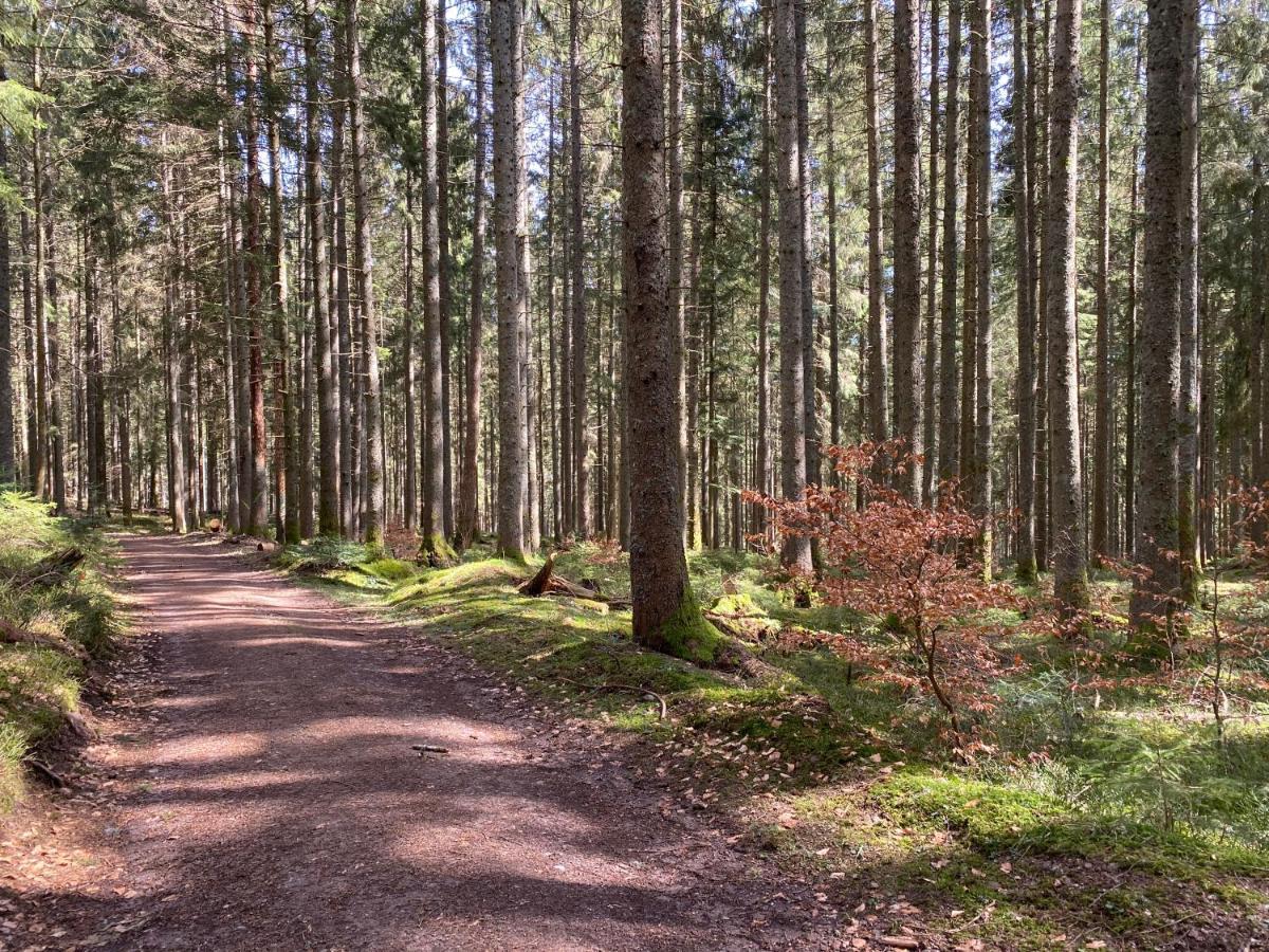 Ferienwohnung Lang - Schoene 3-Zimmer-Wohnung Bonndorf im Schwarzwald Exteriör bild